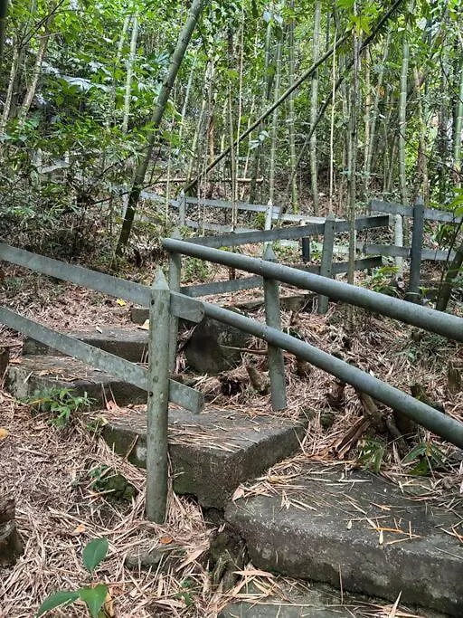Apartment Tower In The Middle Of A Forest, 2 Bed Envigado