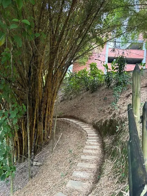 Apartment Tower In The Middle Of A Forest, 2 Bed Envigado