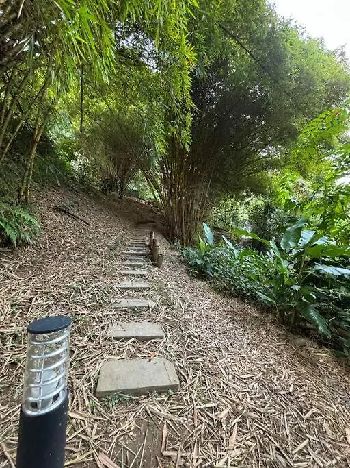 Apartment Tower In The Middle Of A Forest, 2 Bed Envigado 0*,